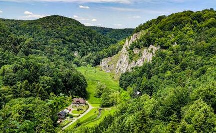 Deep Valleys and Forest Roads in Ojców Winding forest road deep within the Jurassic valleys of Ojców National Park.